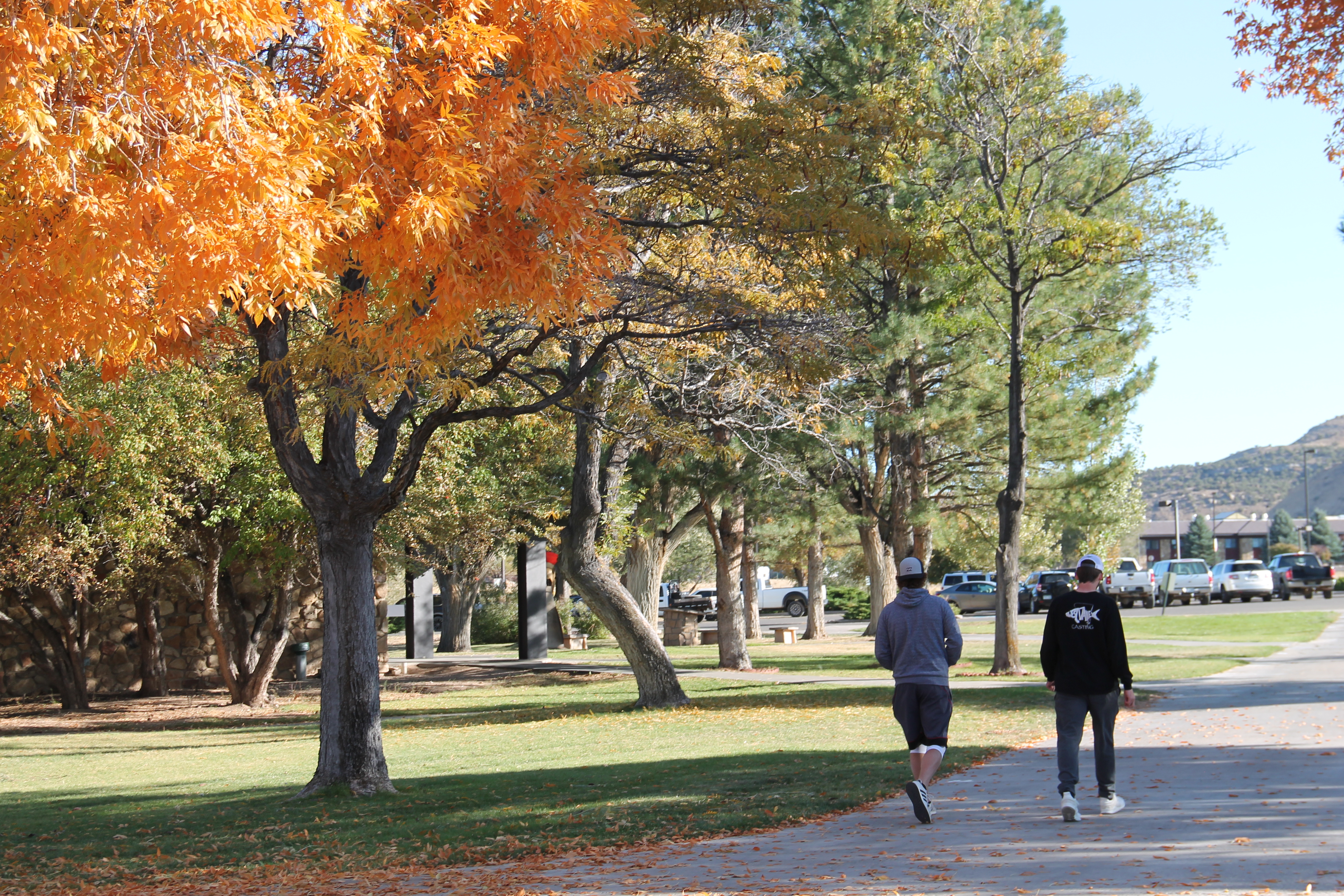 Students Walking on Campus During the Fall