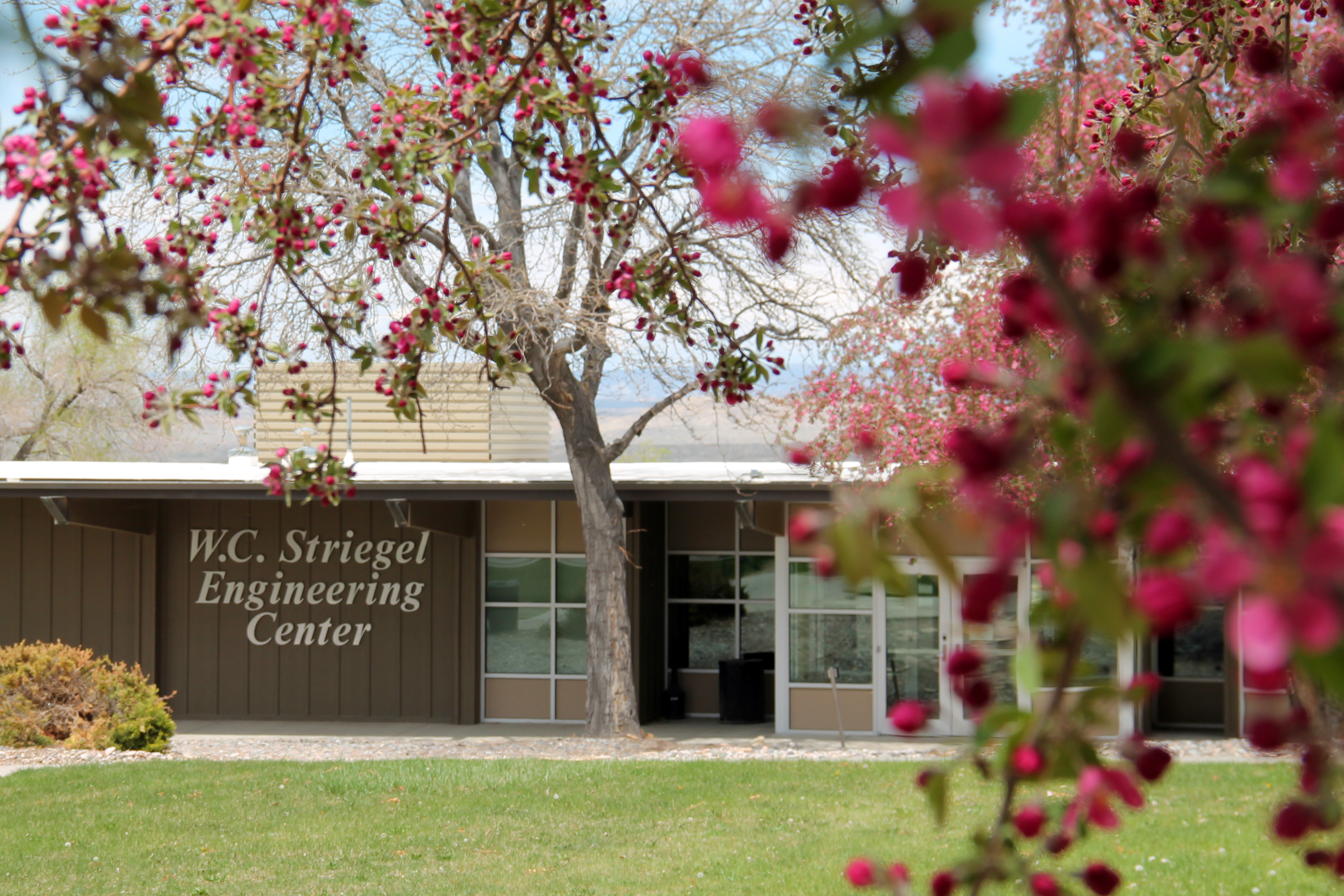 W.C. Striegel Building on Campus with Crab Apples Blooming in FRont