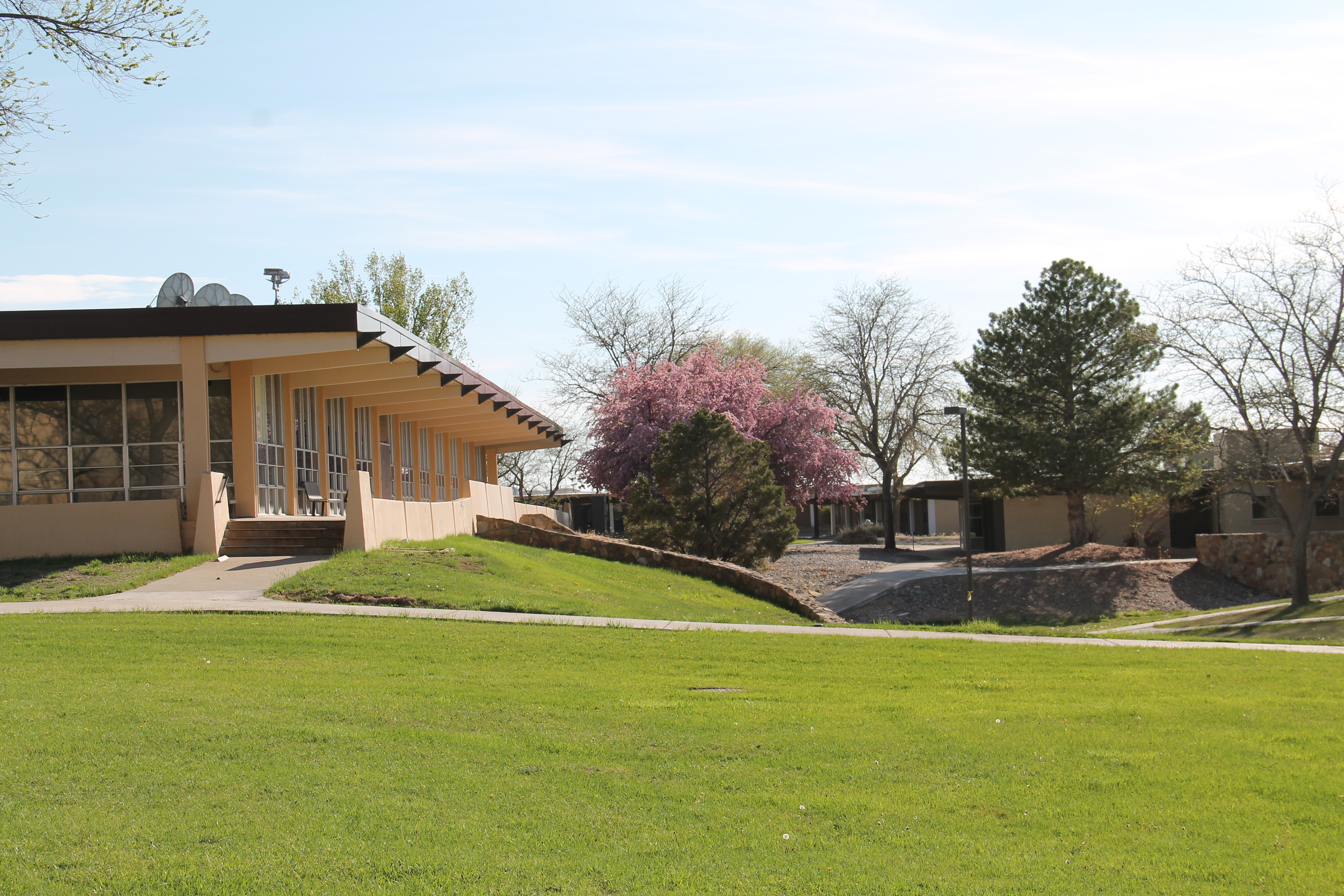 Building son Campus during Summer with beautiful green grass