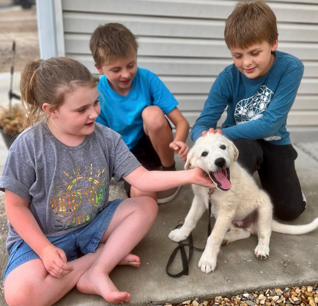 Kids loving the foster dog