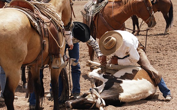 Rock N' Bulls Rodeo at Columbine Park - Cowboy roping cattle