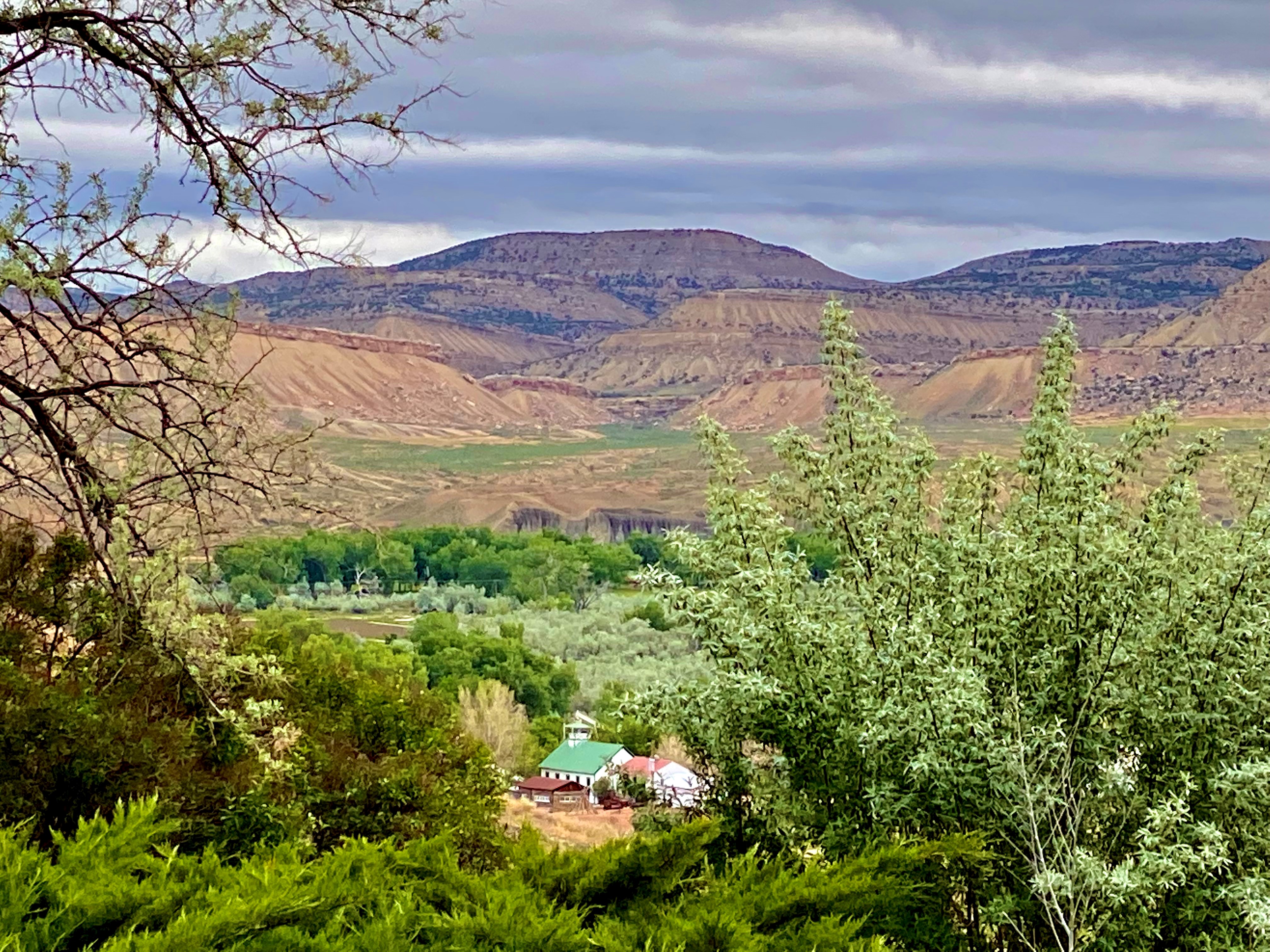 Summer Photo of Outdoor Museum in the distance, Book Cliff Mesas in the background and beautiful greenery near the front framing the photo