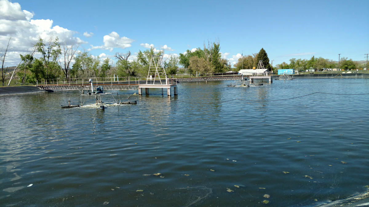 Waste water treatment plant pools