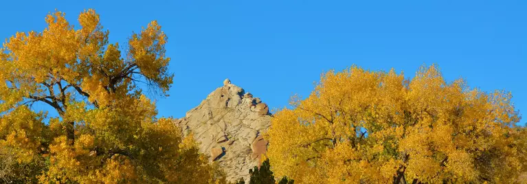 Fall Foilage with Peak - Horizontal